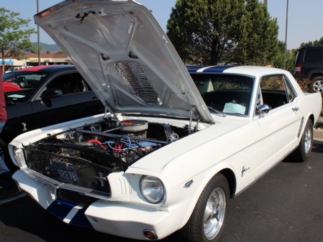 Bob-Hellem-1964-Ford-Mustang-44-Large-1300×800